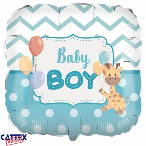 CTX+ - Baby Boy Giraffa...